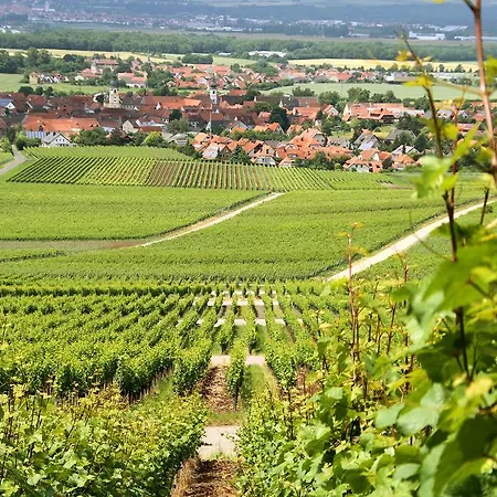 Gasthof Zum Rodelseer Schwan 3*