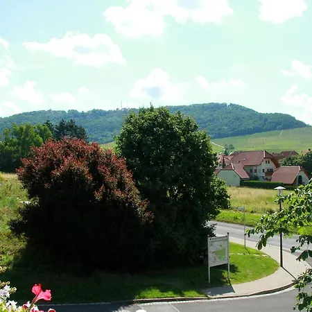 Gasthof Zum Rodelseer Schwan Roedelsee