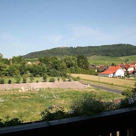Hotel Gasthof Zum Rodelseer Schwan