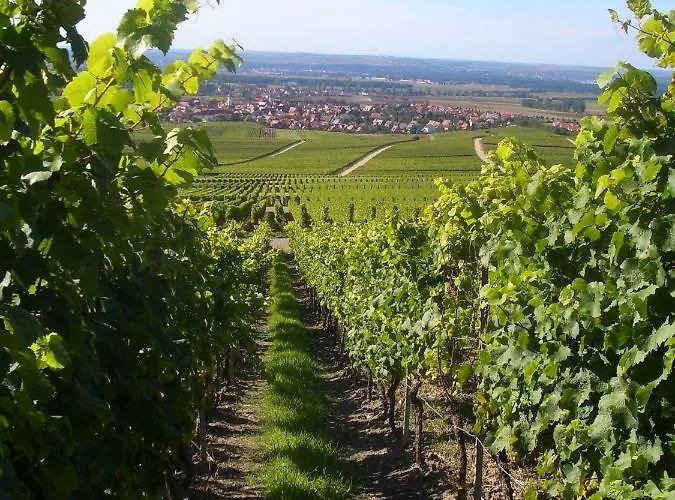 Hotel Gasthof Zum Rodelseer Schwan
