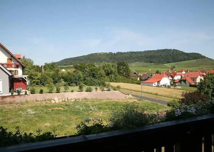 Hotel Gasthof Zum Rodelseer Schwan
