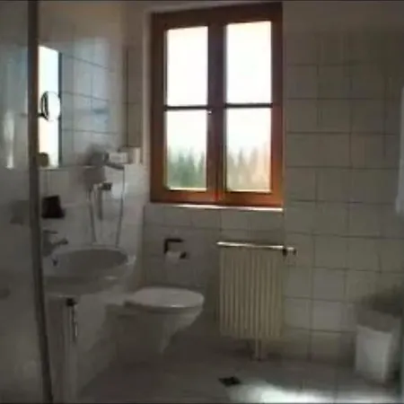 Отель Gasthof Zum Rodelseer Schwan Roedelsee