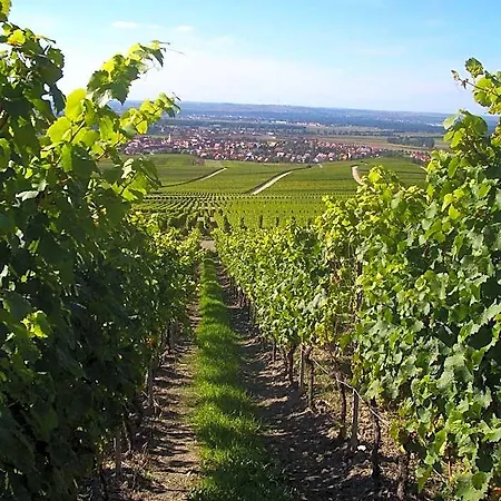 & Zum Roedelseer Schwan Szálloda