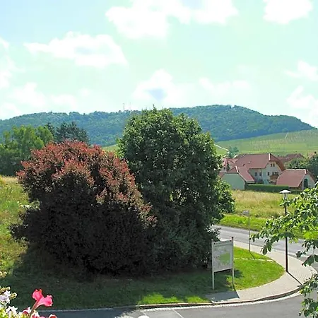 Szálloda & Zum Roedelseer Schwan 3*
