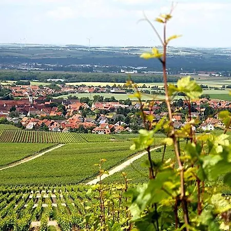& Zum Roedelseer Schwan Rödelsee