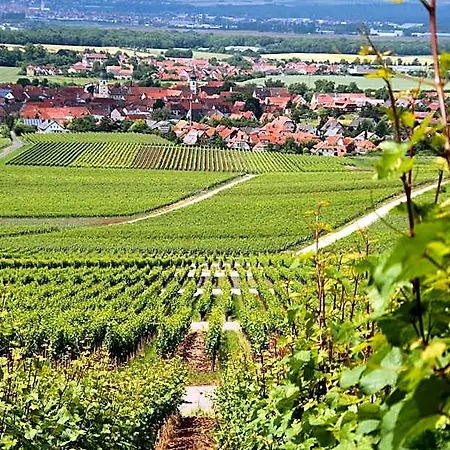 Szálloda & Zum Roedelseer Schwan Rödelsee