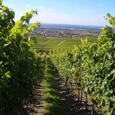 Szálloda & Zum Roedelseer Schwan